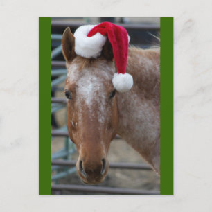 Red Appaloosa with Santa Hat Holiday Postcard