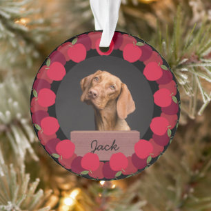 red apple christmas holiday Custom Dog Photo Ornament