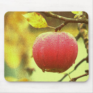 "Red Apple" Cute Photo. Buy Now Mouse Mat