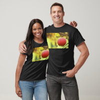 "Red Apple" Cute Photo. Buy Now
