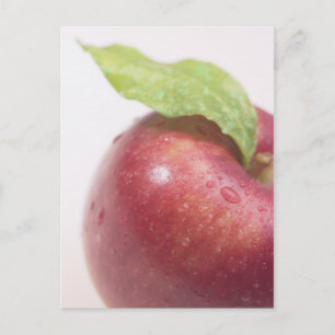 Red Apple Green Leaf Postcard