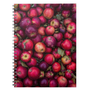 Red apple lot notebook