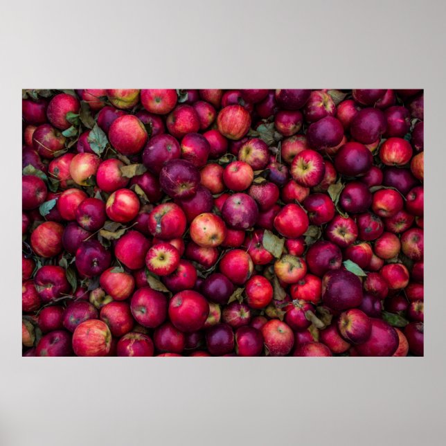 Red apple lot poster (Front)
