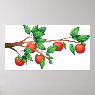 Red Apple Tree Branch Fresh Fruit and Green Leaves Poster