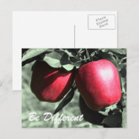 Red Apples Be Different Inspirational Postcard