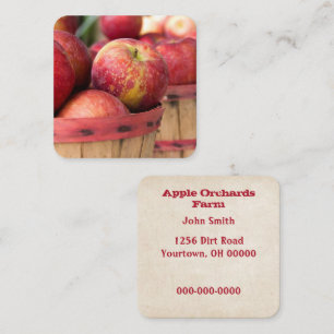 Red Apples In Basket Square Business Card