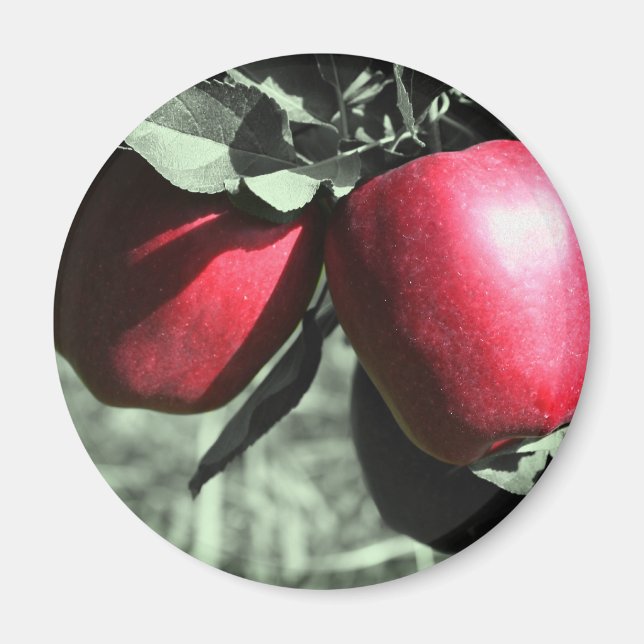 Red Apples On Black And White Magnet (Front)