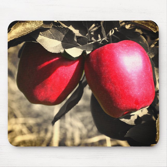 Red Apples On Tree Mouse Mat (Front)