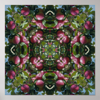 Red Apples On Tree Nature Art Abstract Poster