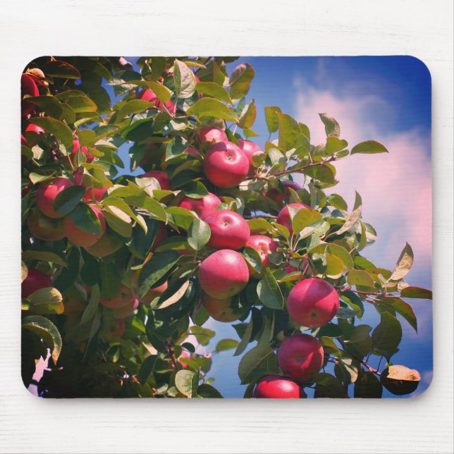 Red Apples On Tree Nature  Mouse Mat (Front)