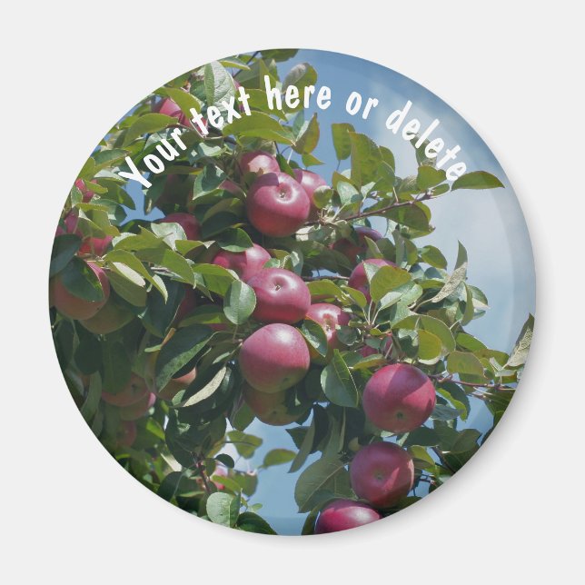Red Apples On Tree Nature Personalised Magnet (Front)
