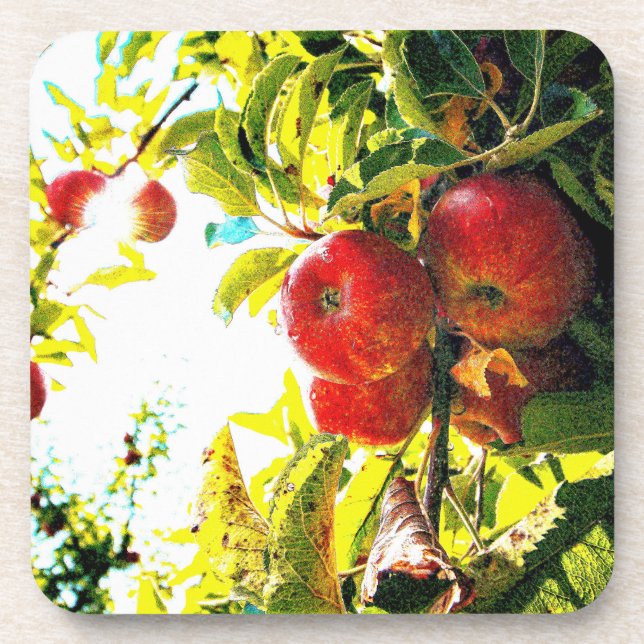 "Red Apples Tree On Sunny Day" Cute Photo. Buy Now Coaster (Front)