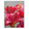 Red Asiatic Lilies Personalized Floral