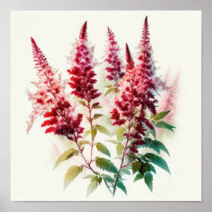 Red Astilbe Flower Art Print Poster