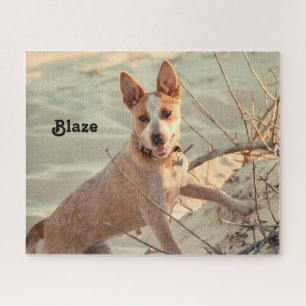 Red Australian Cattle Dog - Heeler - in the snow Jigsaw Puzzle