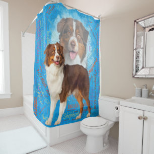 Red Australian Shepherd dogs - Aussie Shower Curtain