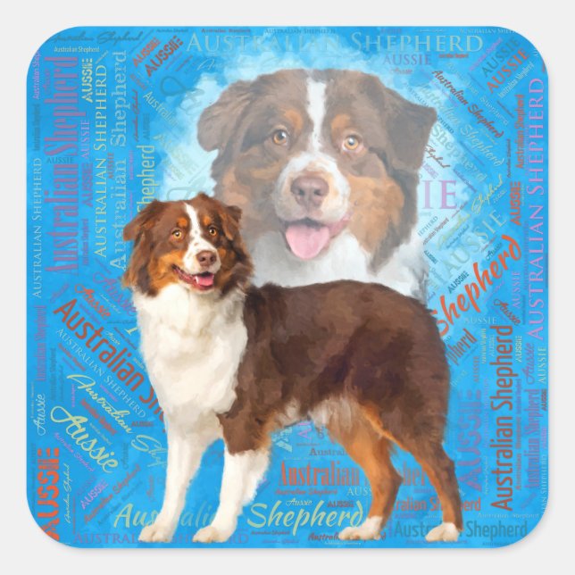 Red Australian Shepherd dogs - Aussie Square Sticker (Front)