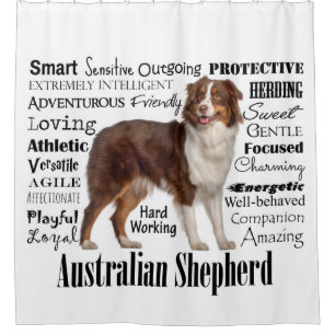 Red Australian Shepherd Traits Shower Curtain