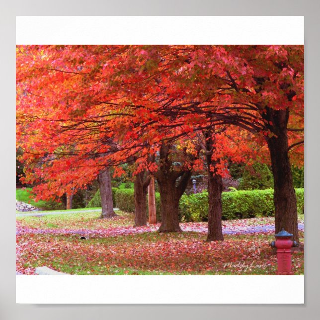 Red Autumn Glory by MiySpirit Poster (Front)