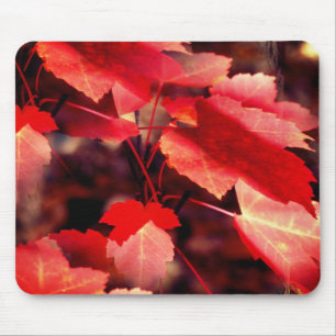 Red Autumn Leaves Nature  Mouse Mat