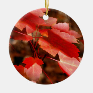 Red Autumn Leaves Nature Ornament