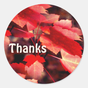 Red Autumn Leaves Nature Thank You Classic Round Sticker