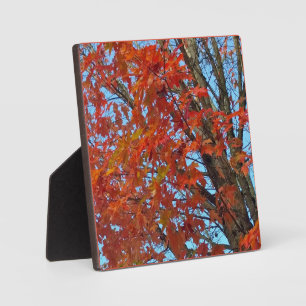 Red Autumn Leaves Plaque