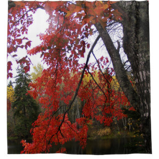 Red Autumn Leaves Shower Curtain