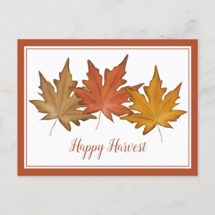 Red Autumn Maple Leaf Elegant Nature Harvest Holiday Postcard
