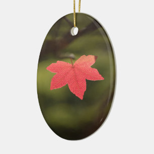 Red Autumn Maple Leaf Nature Photo Ceramic Tree Decoration