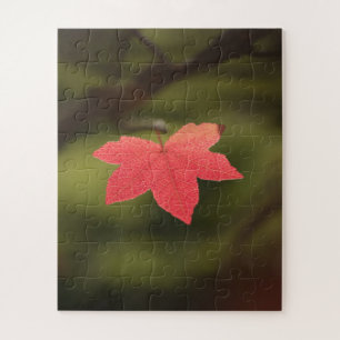 Red Autumn Maple Leaf Nature Photo Jigsaw Puzzle