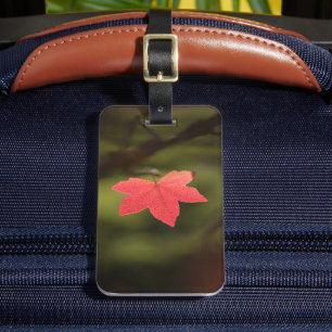 Red Autumn Maple Leaf Nature Photo Luggage Tag