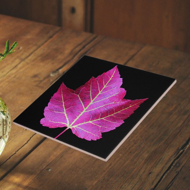 Red Autumn Maple Leaf on Black Background Tile (In Situ)