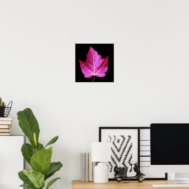 Red Autumn Maple Leaf on Black Floral Poster (Home Office)