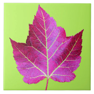 Red Autumn Maple Leaf on Green Background Tile