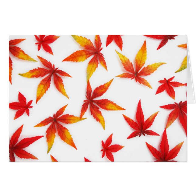Red Autumn Maple Leaves (Front Horizontal)