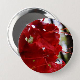 Red Azalea Flowers 10 Cm Round Badge