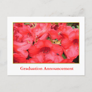 Red azalea flowers graduation announcement
