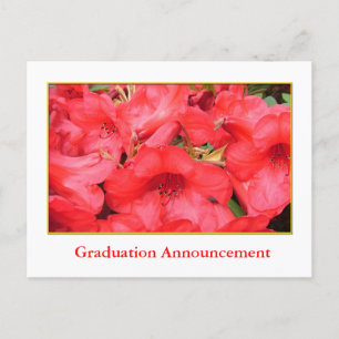 Red azalea flowers graduation announcement postcard