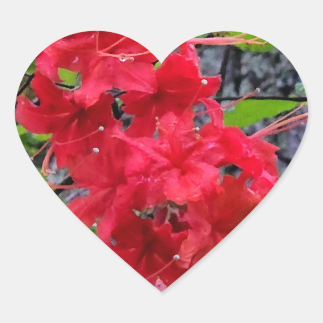 Red Azalea Flowers Heart Sticker (Front)