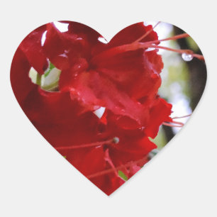 Red Azalea Flowers Heart Sticker