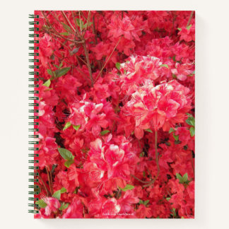 Red Azalea Notebook