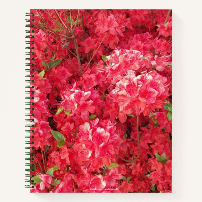 Red Azalea Notebook (Front)
