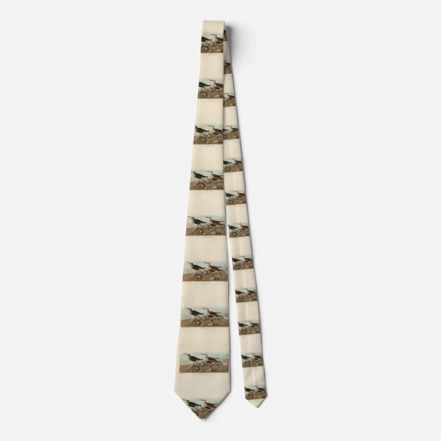 Red backed Sandpiper - Audubon's Birds of America Tie (Front)
