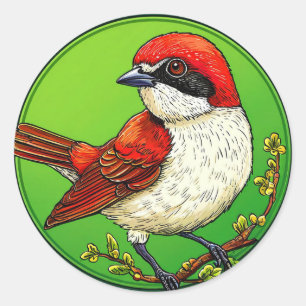 Red-Backed Shrike 🦜 Vibrant Bird Wildlife Art 🌿  Classic Round Sticker
