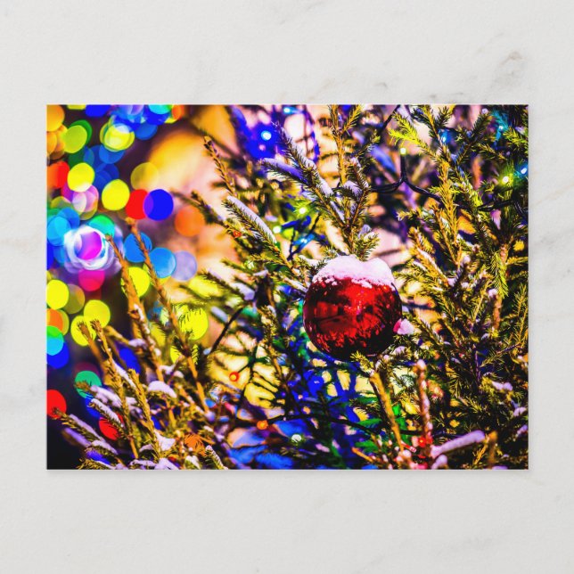 Red Ball, Christmas Lights Postcard (Front)