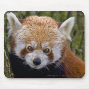 Red Bandit Mousemat