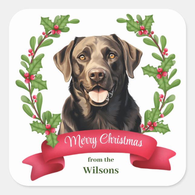 Red Banner Holly Chocolate Lab Retriever Christmas Square Sticker (Front)
