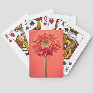 Red Barberton Gerbera Daisy Flower Playing Cards