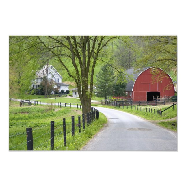 Red barn and farm house near Berlin, Ohio. Photo Print (Front)